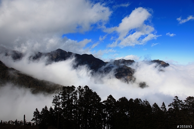 [5D2] 雪山賞雪趣