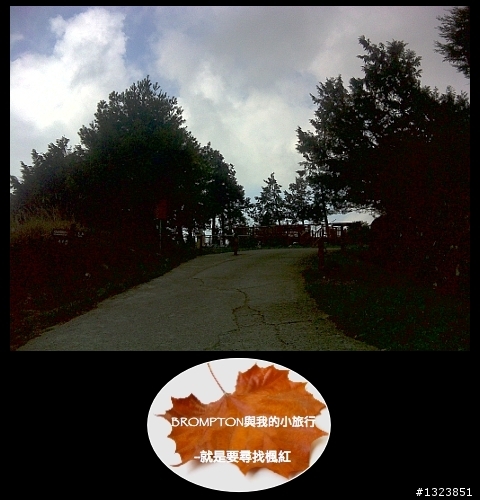 <BROMPTON與我的小旅行>就是要尋找楓紅