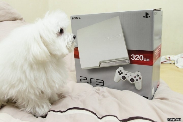 PS3有什麼遊戲可以跟女王一起同樂的？