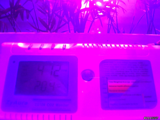 室內植物 與 CO2變化 測試未完成