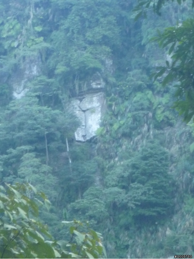 好天氣之消毒之旅-南投