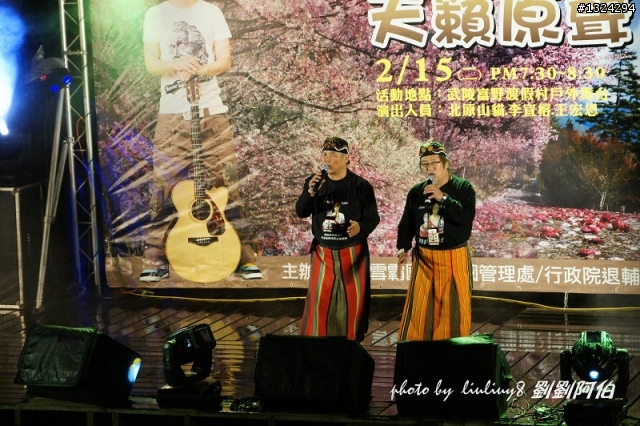 迷幻黑森林 - 武陵桃山步道、櫻花起舞