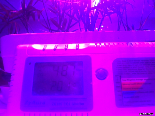 室內植物 與 CO2變化 測試未完成