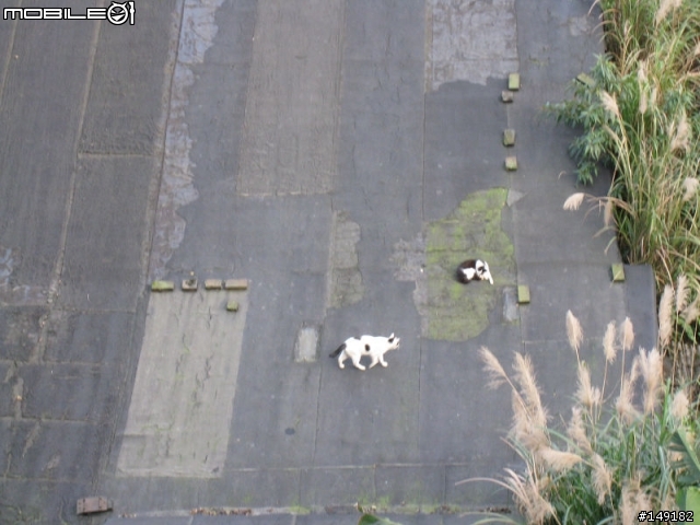 2011春節  猴硐 & 九份一日遊