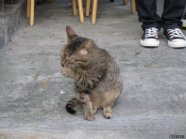 2011春節  猴硐 & 九份一日遊