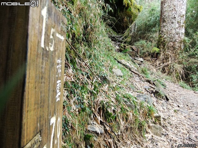 玉山暴走