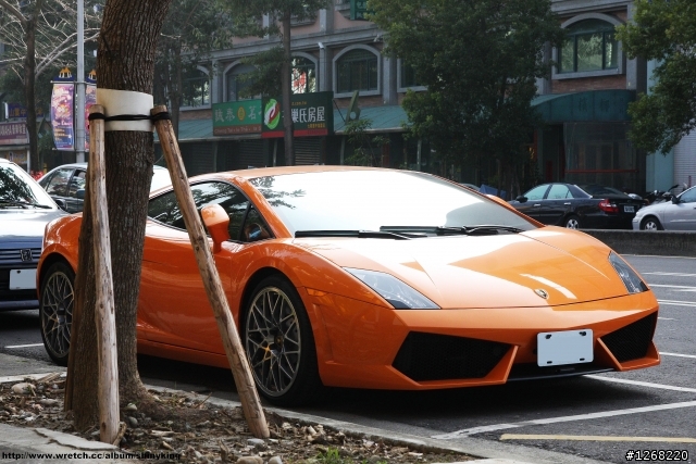台中巧遇小橘牛