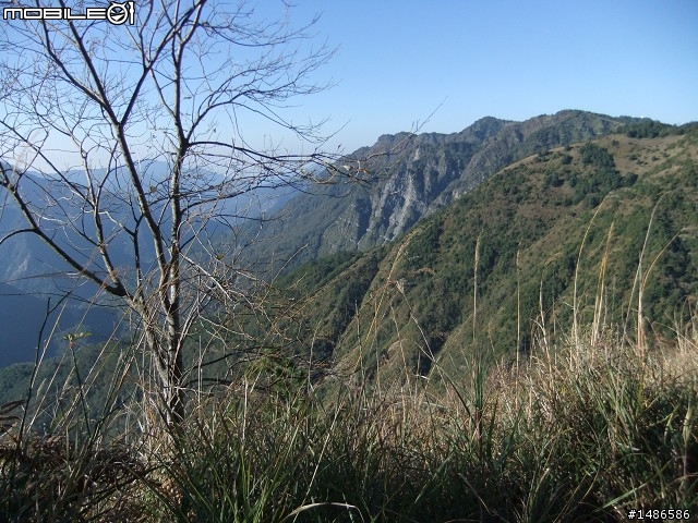 玉山暴走