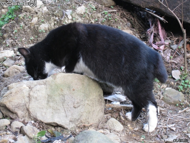 2011春節  猴硐 & 九份一日遊