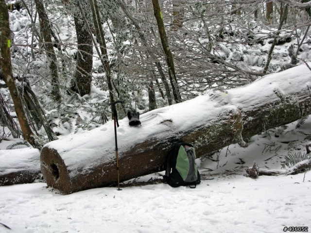 2011 1/16 拉拉山與塔曼山雪景