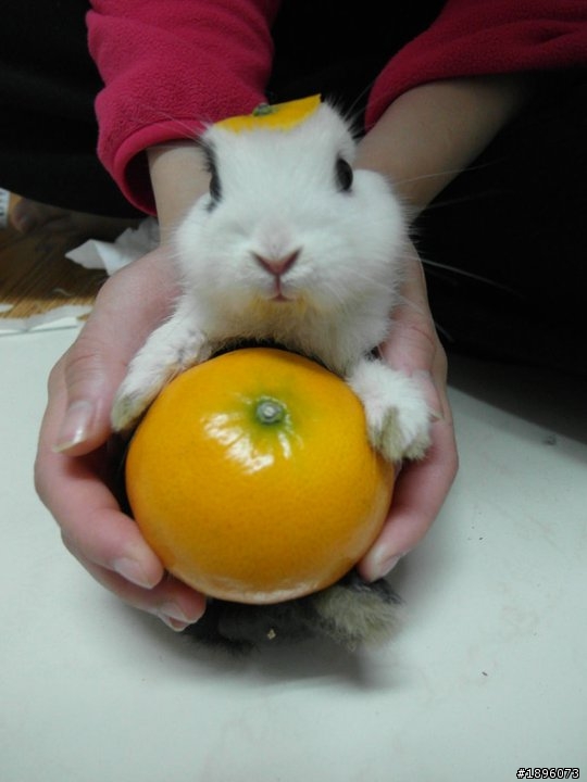 BENQ PQ4242大問題!!!