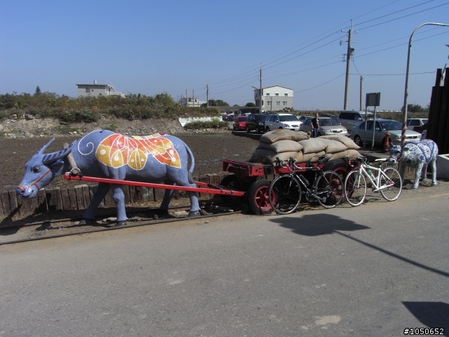 『單車遊記』2011 02 05 嘉義新港→板頭厝交趾剪黏藝術村