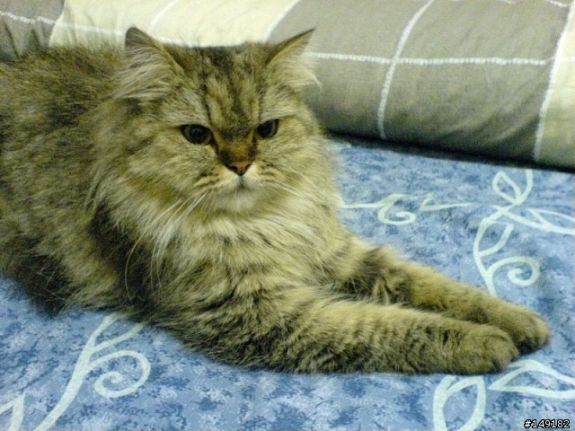 2011春節  猴硐 & 九份一日遊