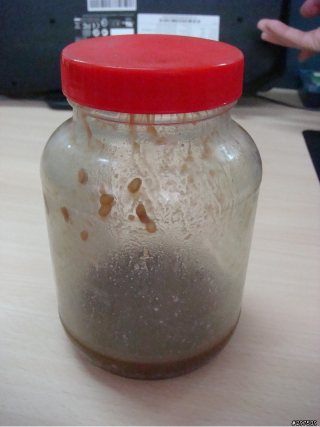 微波爐料理~腐乳醬蒸魚