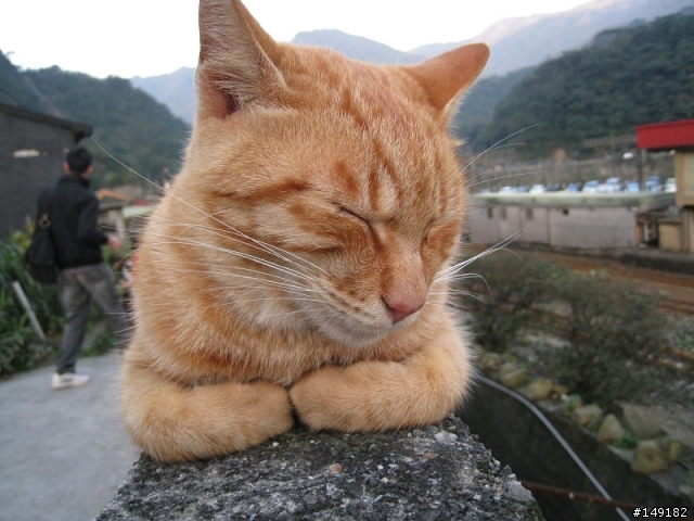 2011春節  猴硐 & 九份一日遊