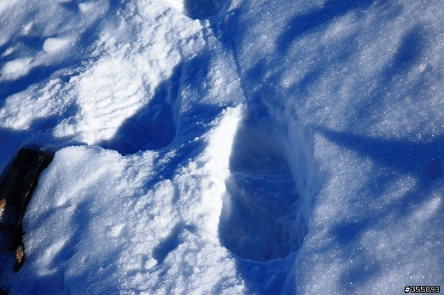 [5D2] 雪山賞雪趣