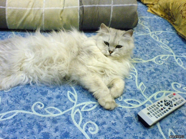2011春節  猴硐 & 九份一日遊