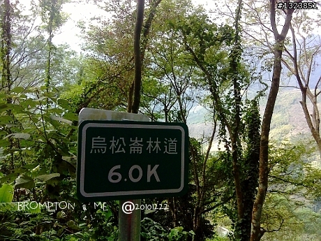暗香浮動尋梅影