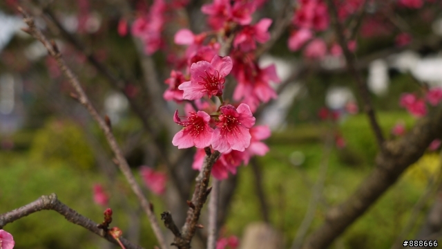 228最後一天連假出門去!