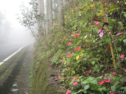 輕騎逍遙山嵐飄邈間 ~ 澐水、中崙溫泉