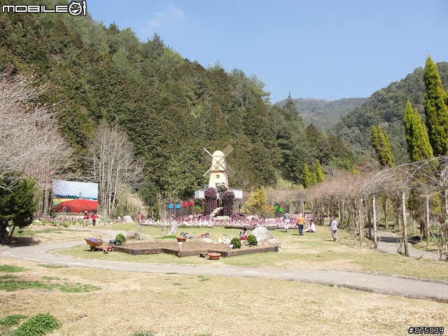 【２０１１年悠活盃】2/27南陌南投杉林溪散步芬多精之旅簽到版