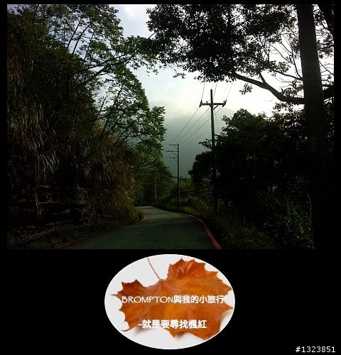<BROMPTON與我的小旅行>就是要尋找楓紅