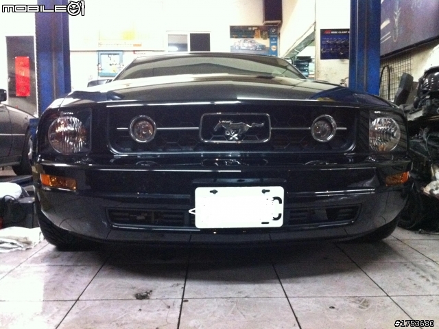 MUSTANG現身