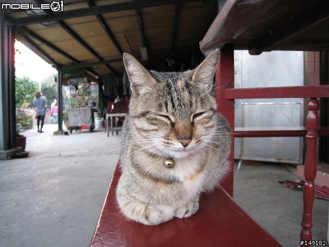 2011春節  猴硐 & 九份一日遊