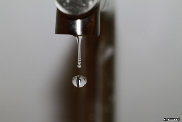 今日入手100MM f2.8L Macro IS USM