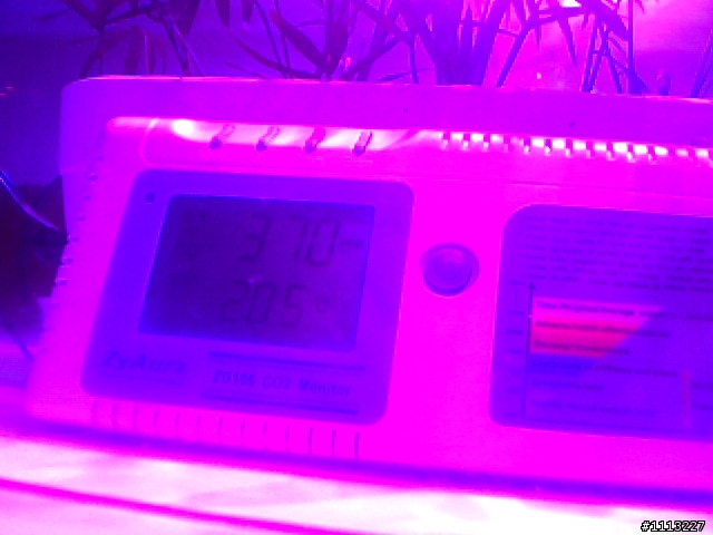 室內植物 與 CO2變化 測試未完成