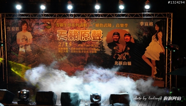 迷幻黑森林 - 武陵桃山步道、櫻花起舞