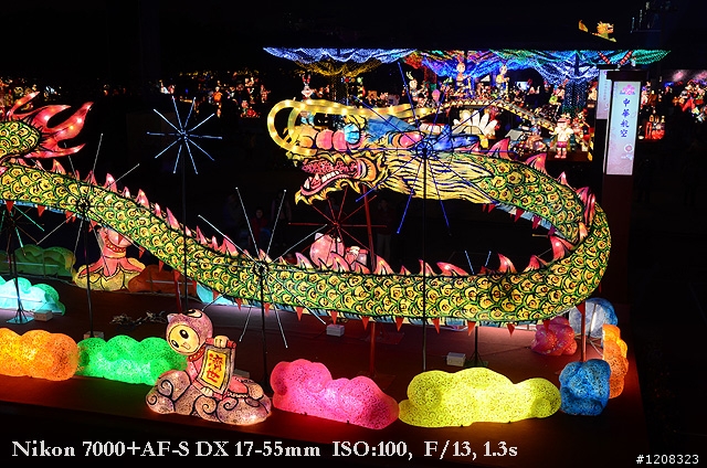 D7000拍2011燈會經驗分享(台北燈會&苗栗台灣燈會)