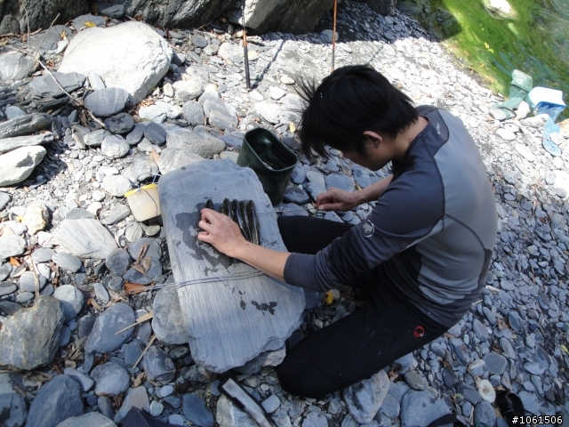 野溪泡湯兼釣苦花