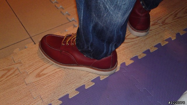 Red Wing 875開箱 + 兩個月大的8131