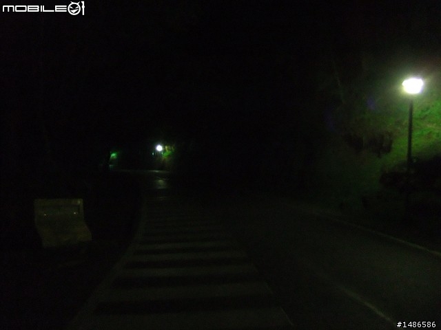 賞櫻花