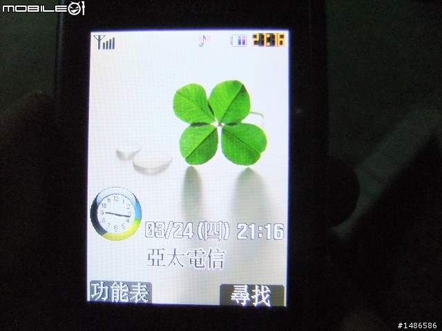 賞櫻花