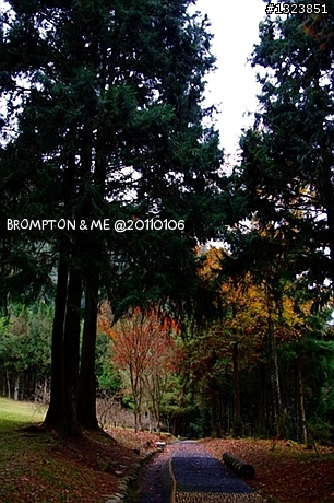 <BROMPTON與我的小旅行>冬訪惠蓀