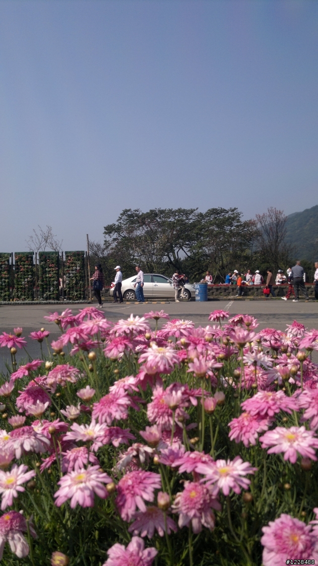 陽明山之旅