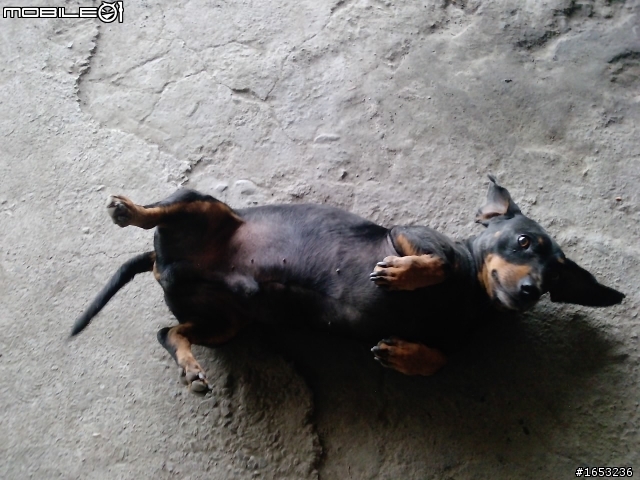 建國百年單人雙輪流浪之十天環島行(更新day7)