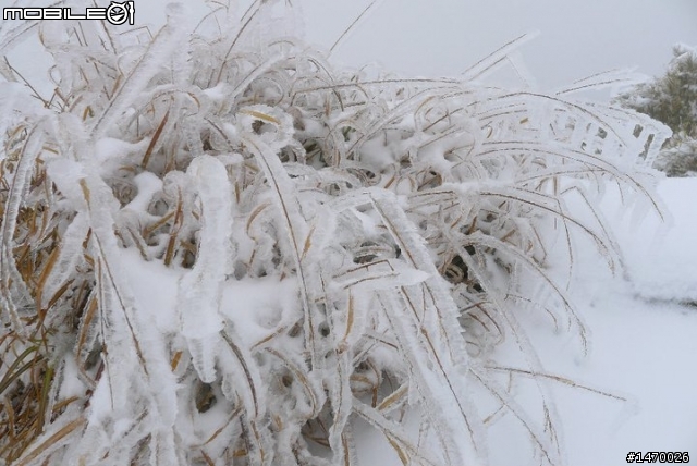 2011.1.13武嶺冬騎