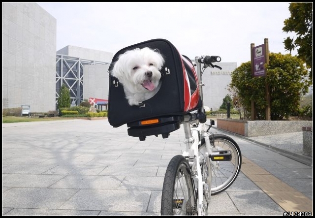 LUCKY外出的行動小車廂
