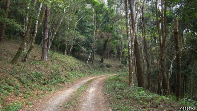 20110226來去高雄寶來小關山林道off road
