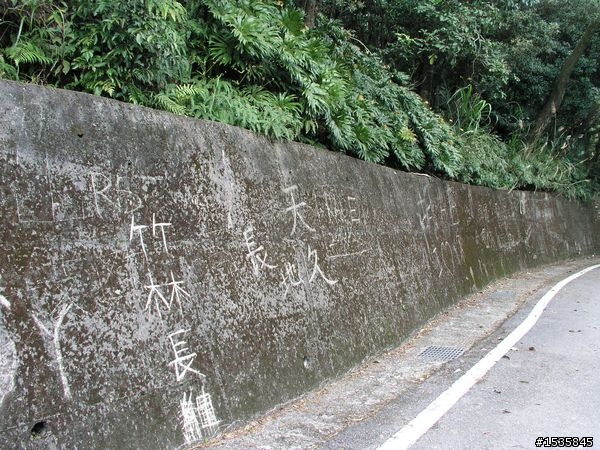 阿柔坑的櫻花跟第一次的爆胎摔車(這樣改善爆胎狀況不曉得行不行？)