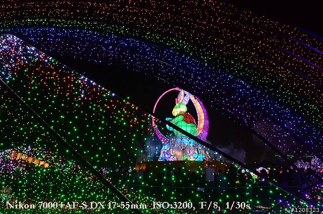 D7000拍2011燈會經驗分享(台北燈會&苗栗台灣燈會)