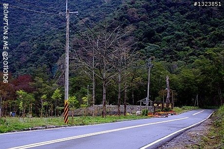 <BROMPTON與我的小旅行>冬訪惠蓀
