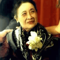 在士林官邸隨拍蔣宋美齡女士的座車,疑似拍到夫人身影(靈異敏感體質者慎入)