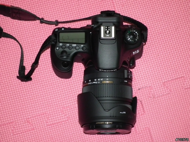 人生的第一部數位單眼EOS 60D  開箱照
