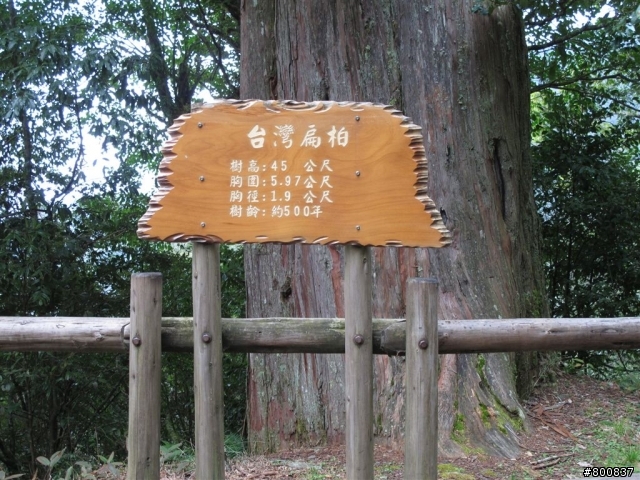 新竹五峰+尖石兩日遊(更新完成)