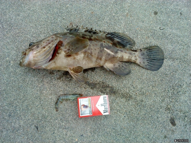 天氣那麼冷...魚真的都不上鈎...