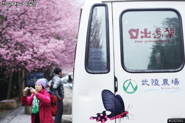 3/4更新完結~追隨p妹的腳步其實只有一小步並不是p妹的一大步及泥土與雨水淬煉的小紅.... 2/24當天來回~武陵農場與櫻花的對話